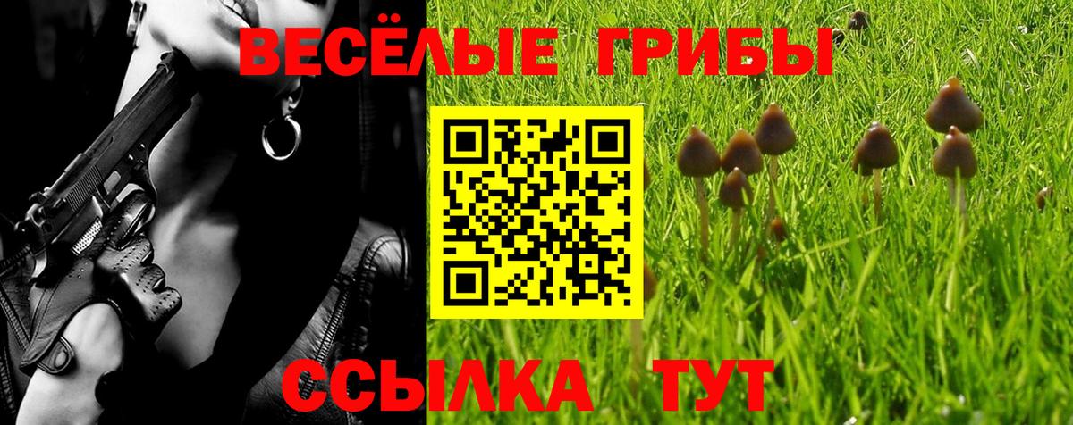 Псилоцибиновые грибы прущие грибы Волжск
